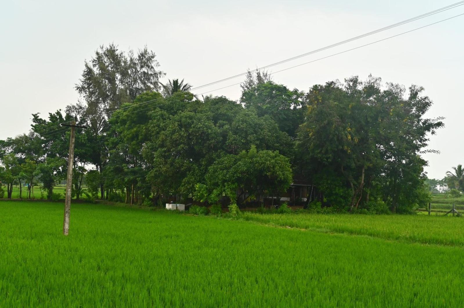 Pathayam Inn Tiruvannāmalai المظهر الخارجي الصورة